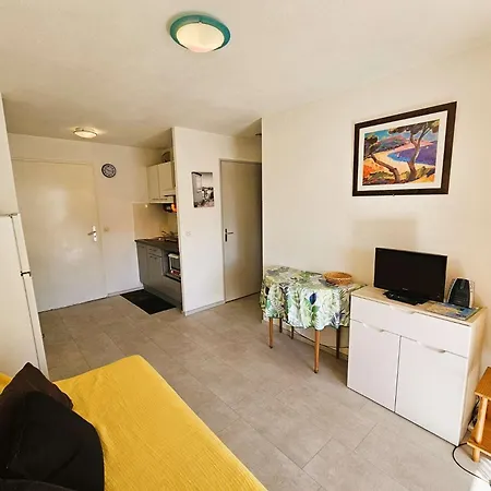 Piscine, Balcon, Wifi, Plein Sud, 4 Couchages شقة لا سين سور مير